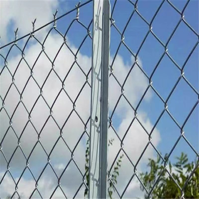 鐵絲隔離網(wǎng)